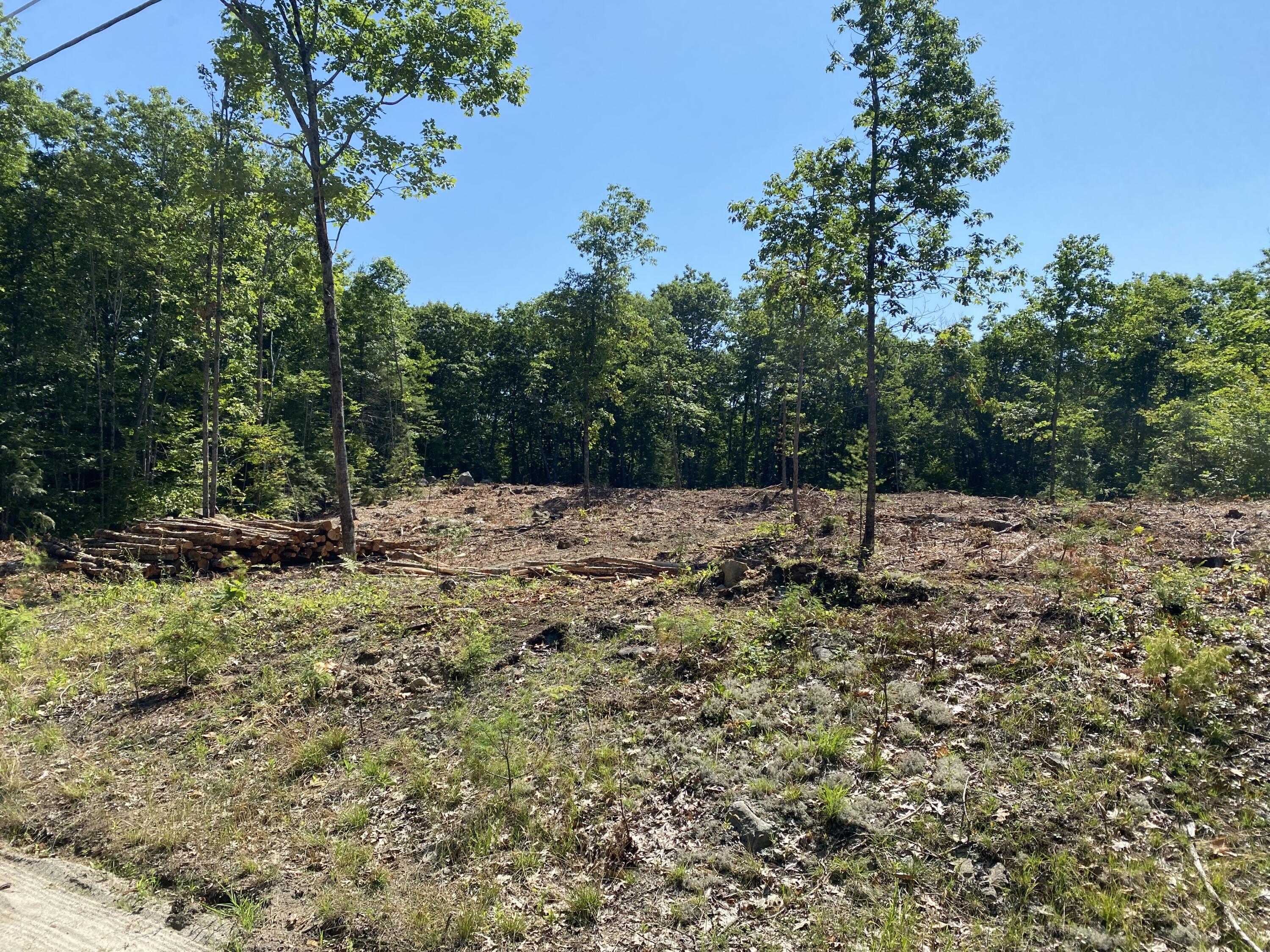 Tbd Lot 2 Tbd Road West Gardiner, ME 04345 - Photo 1 of 4 IMG_1344