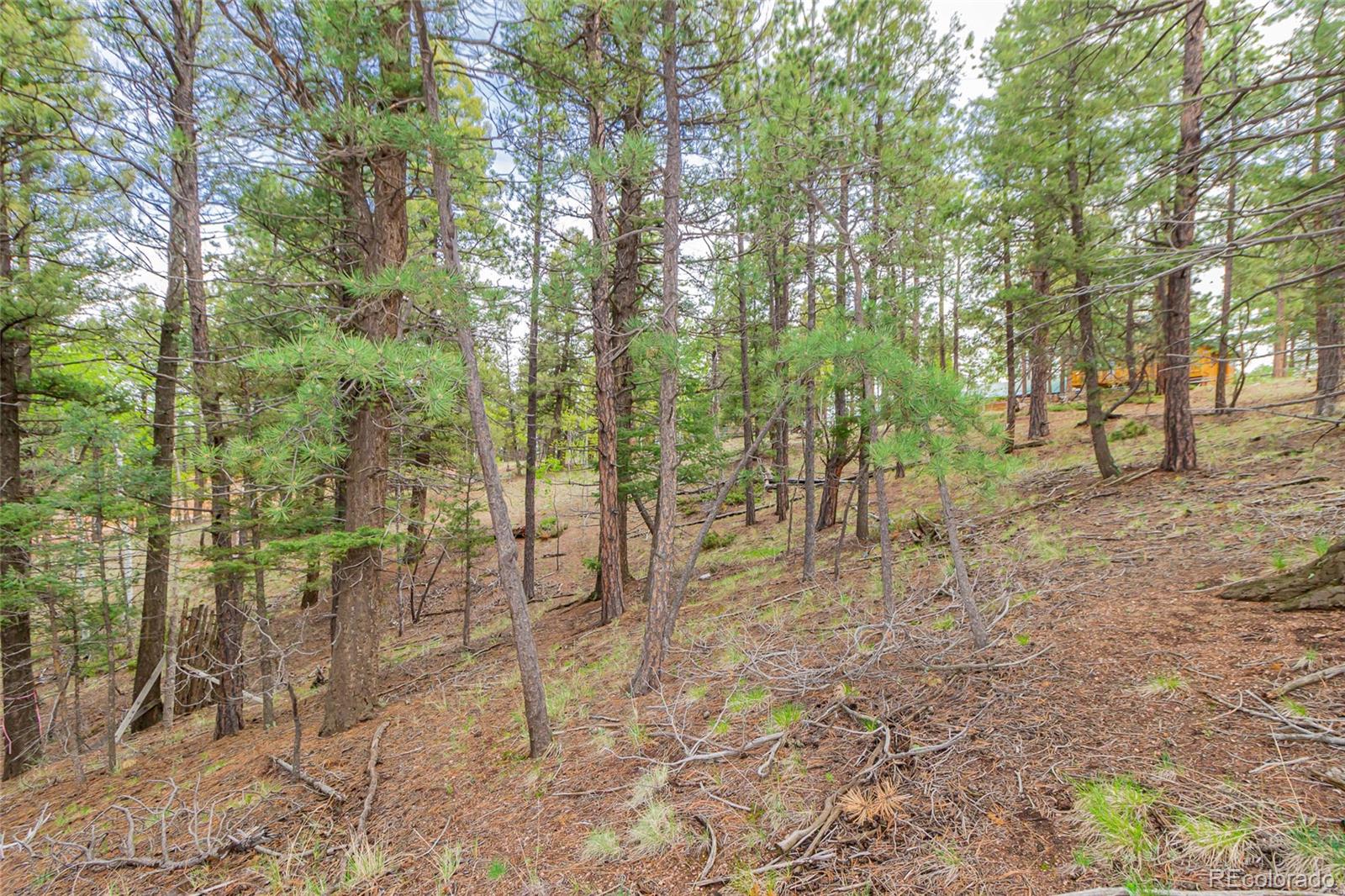 71 Nuaku Road Florissant, CO 80816 - Photo 5 of 10 Gallery Image 5