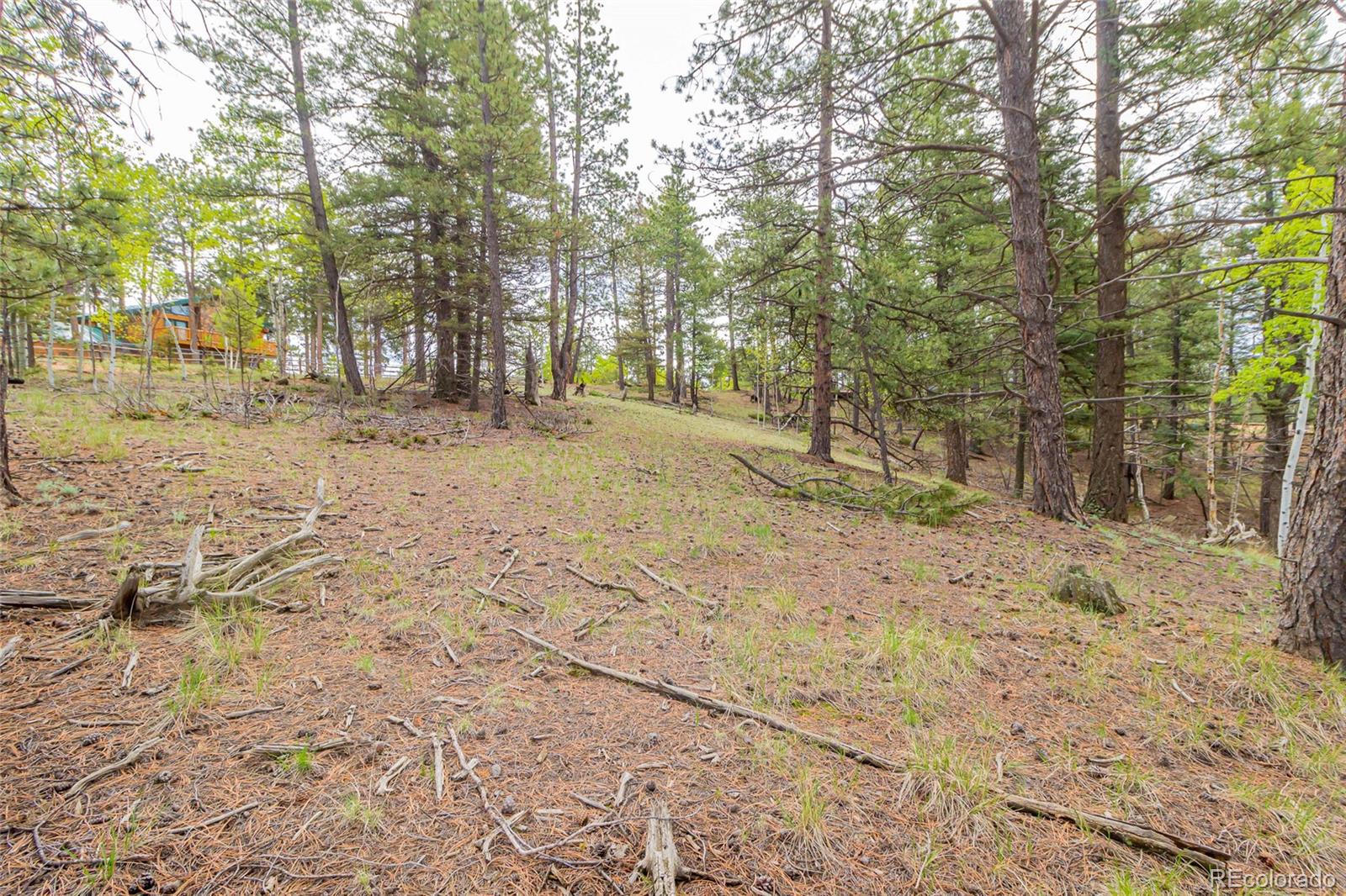 71 Nuaku Road Florissant, CO 80816 - Photo 8 of 10 Gallery Image 8