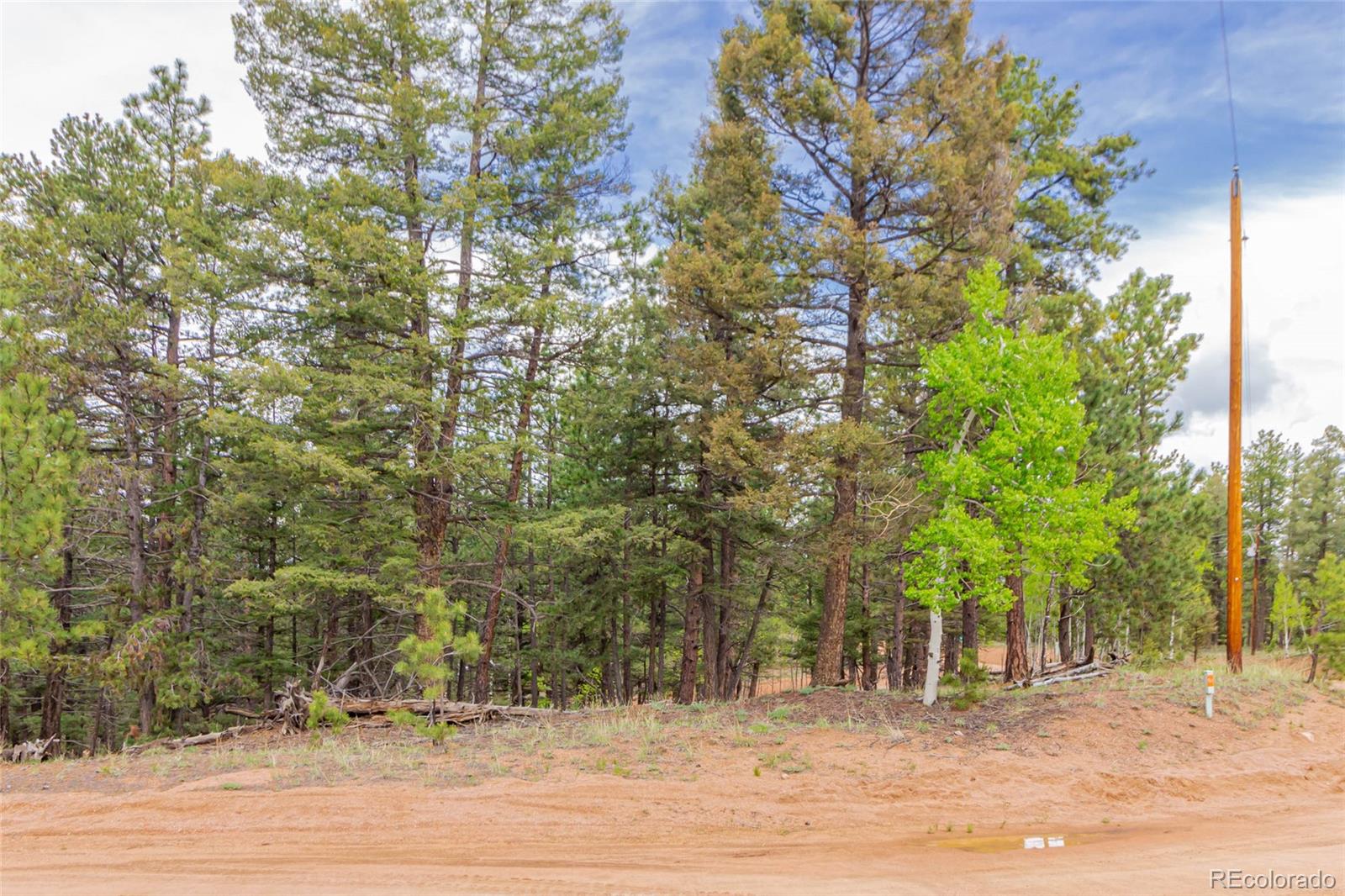 71 Nuaku Road Florissant, CO 80816 - Photo 10 of 10 Gallery Image 10