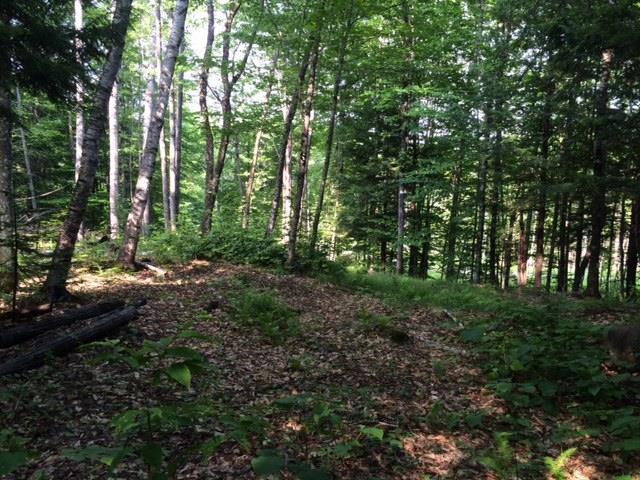 Lot 5 Burbank Hill Road Strong, ME 04983 - Photo 13 of 20 Photo