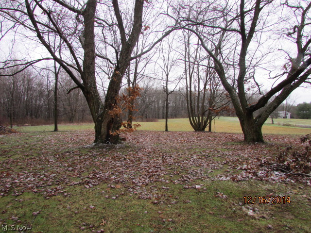 3703 Randolph Road Mogadore, OH 44260 - Photo 3 of 17