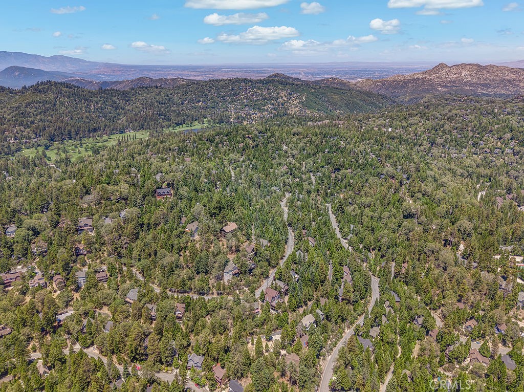318 Old Toll Road Lake Arrowhead, CA 92352 - Photo 42 of 44 a view of a lush green hillside and a mountain