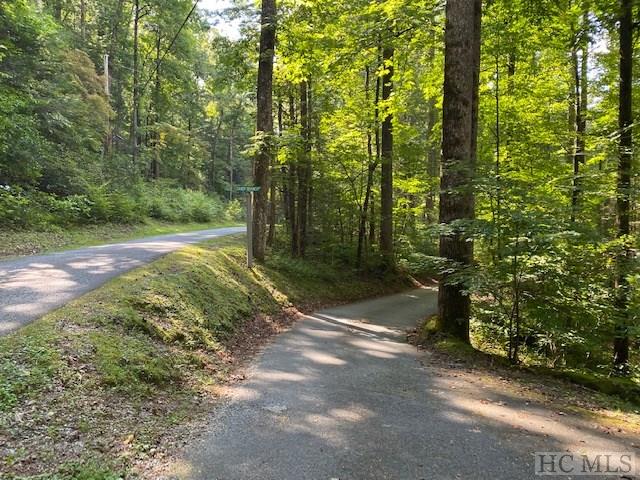 A1-a2 Spring Valley Road Highlands, NC 28741 - Photo 3 of 6 Gallery Image 3