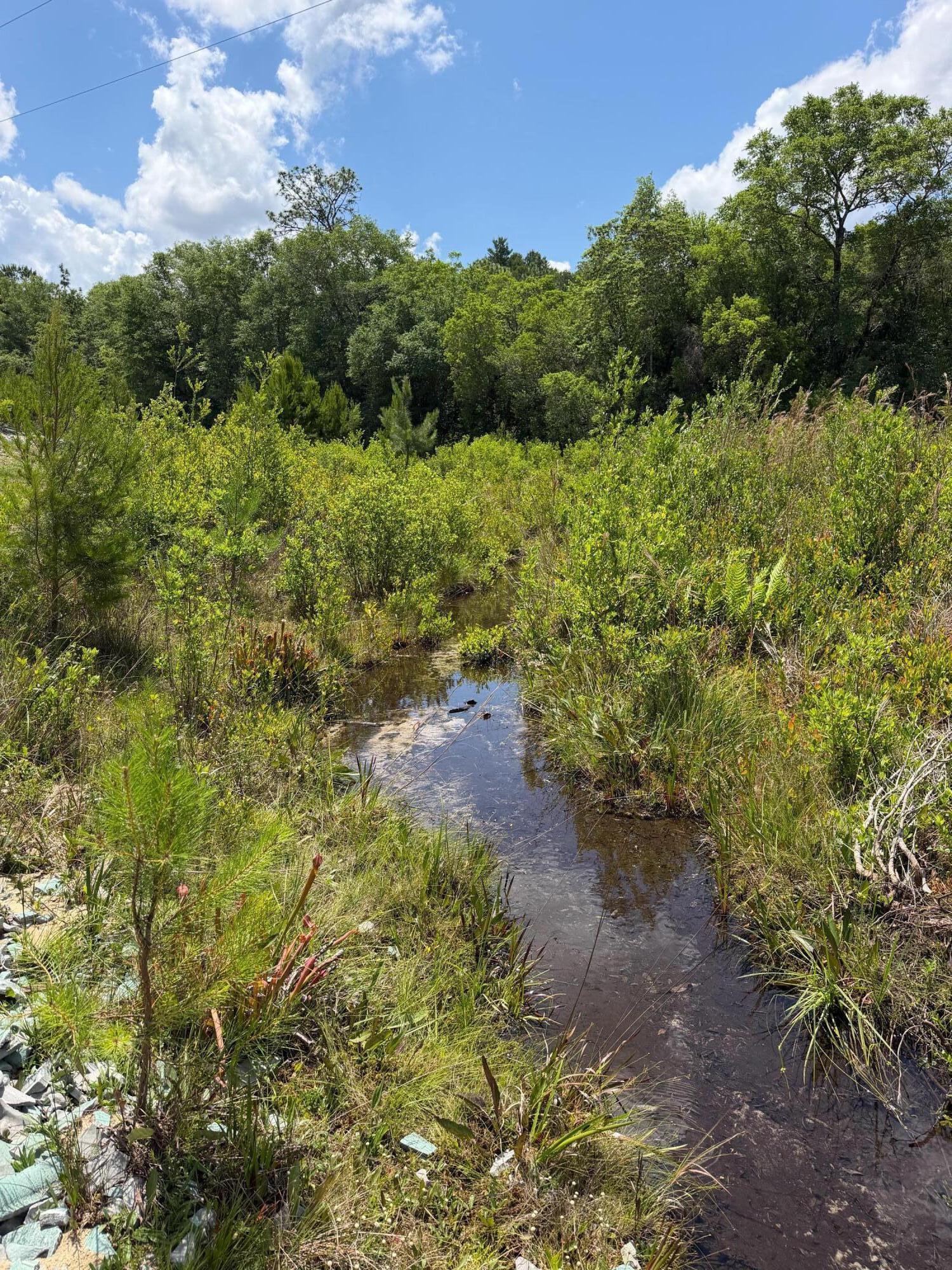 0 Laird Road Crestview, FL 32539 - Photo 26 of 59 IMG_0674