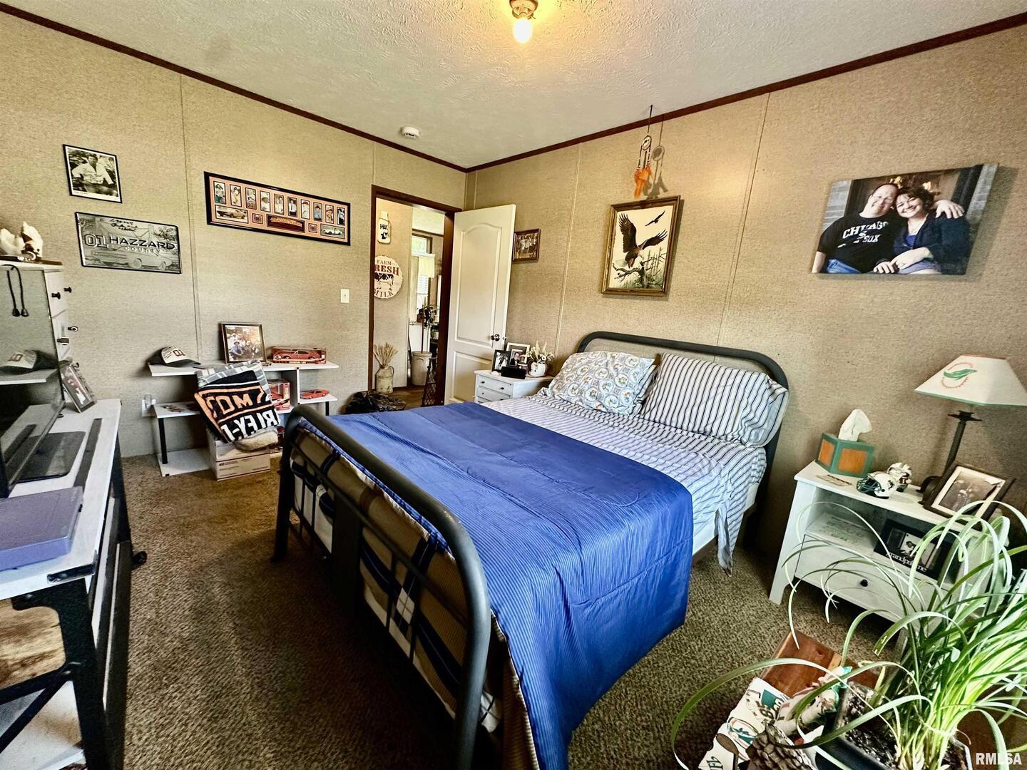 1409 West 5th Street West Frankfort, IL 62896 - Photo 13 of 56 a bedroom with furniture and a bed