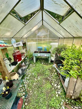 a backyard of a house with lots of plants and large tree
