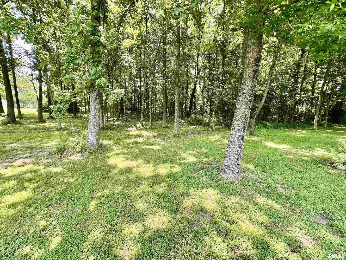 1409 West 5th Street West Frankfort, IL 62896 - Photo 51 of 56 a backyard of a house with lots of plants and large tree