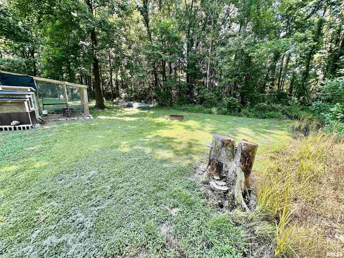 1409 West 5th Street West Frankfort, IL 62896 - Photo 53 of 56 a view of outdoor space with deck and yard