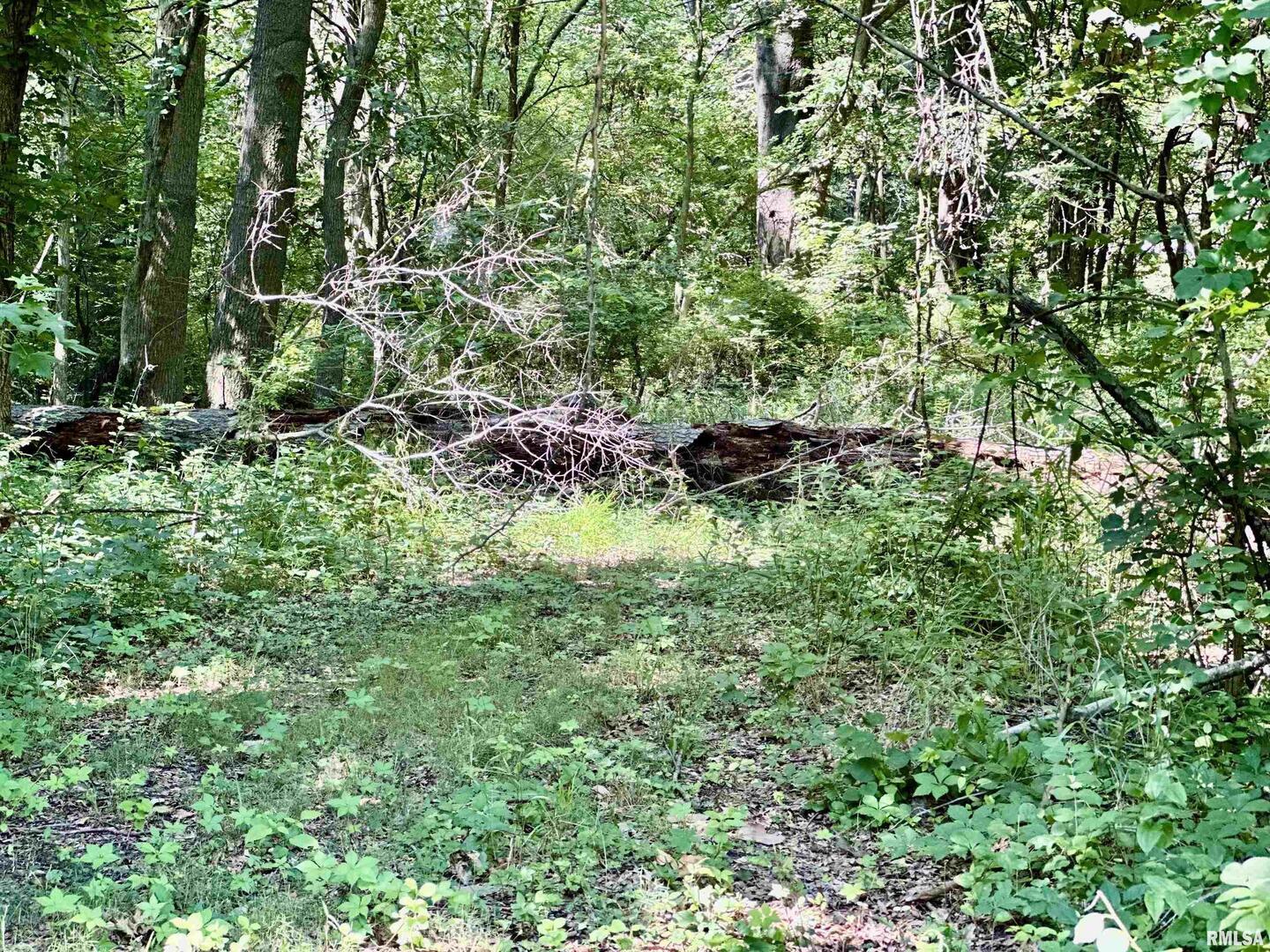 1409 West 5th Street West Frankfort, IL 62896 - Photo 55 of 56 a backyard of a house with a yard and outdoor seating