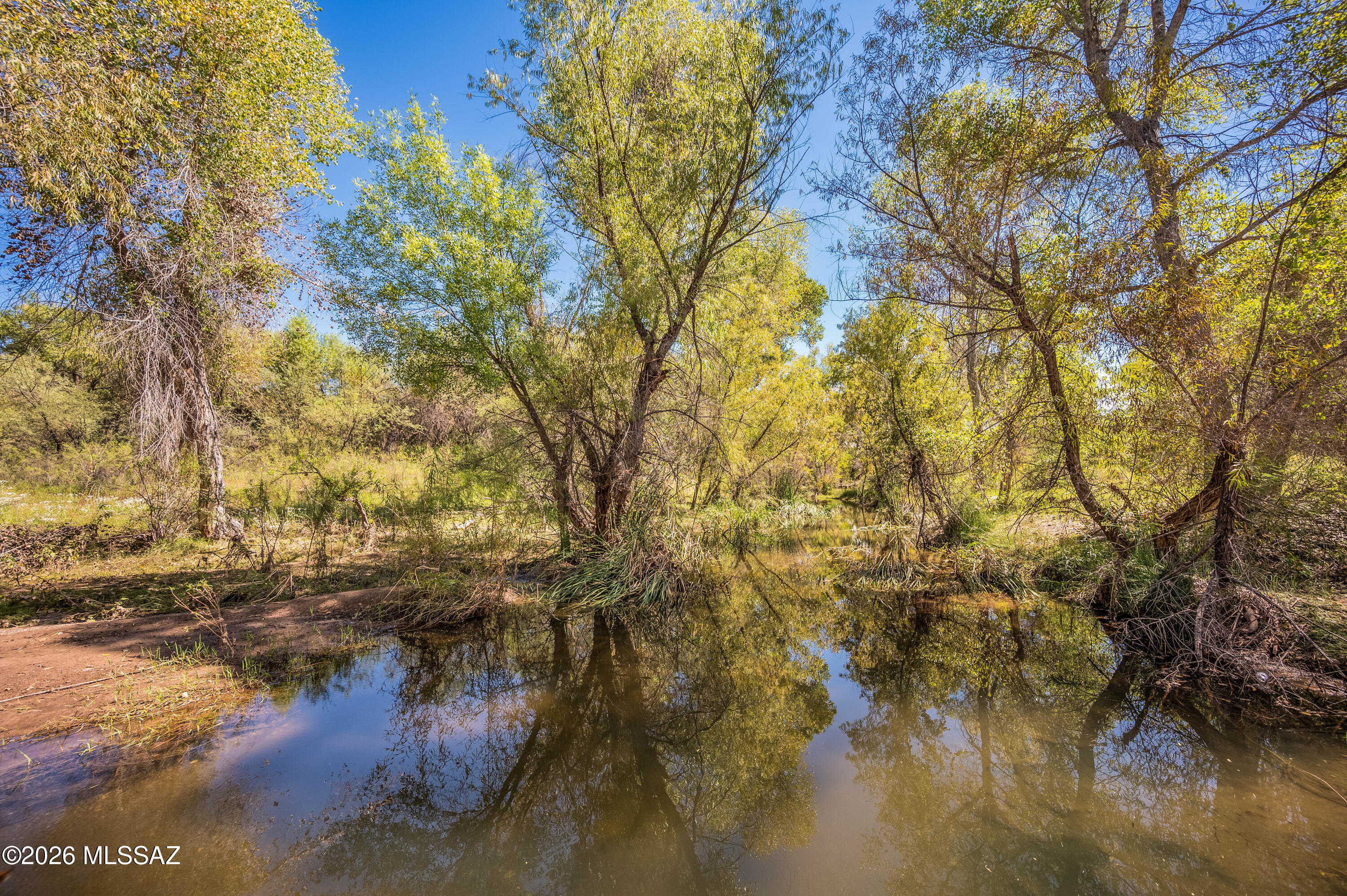225 Camino Las Barrancas Rio Rico, AZ 85648 - Photo 11 of 50 Sonita Creek