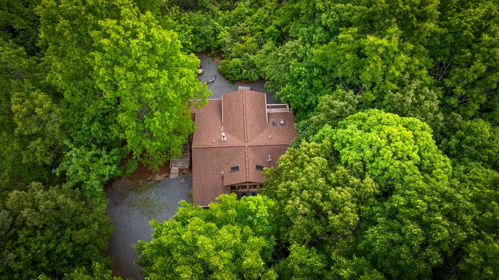 28 Hawkeye Ridge Blue Ridge, GA 30513 - Photo 33 of 104 Gallery Image 33