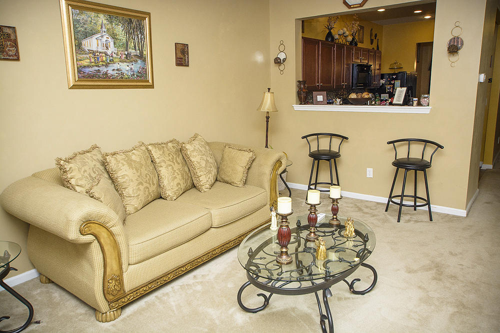 153 Woodward Road Goose Creek, SC 29445 - Photo 8 of 21 living room 1