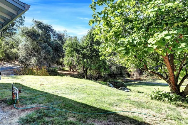 a view of a backyard