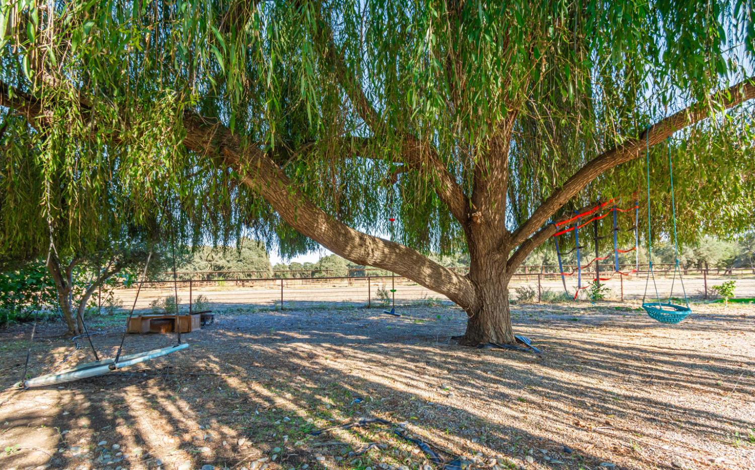 664 Perkins Road Arbuckle, CA 95912 - Photo 51 of 91 Gallery Image 51