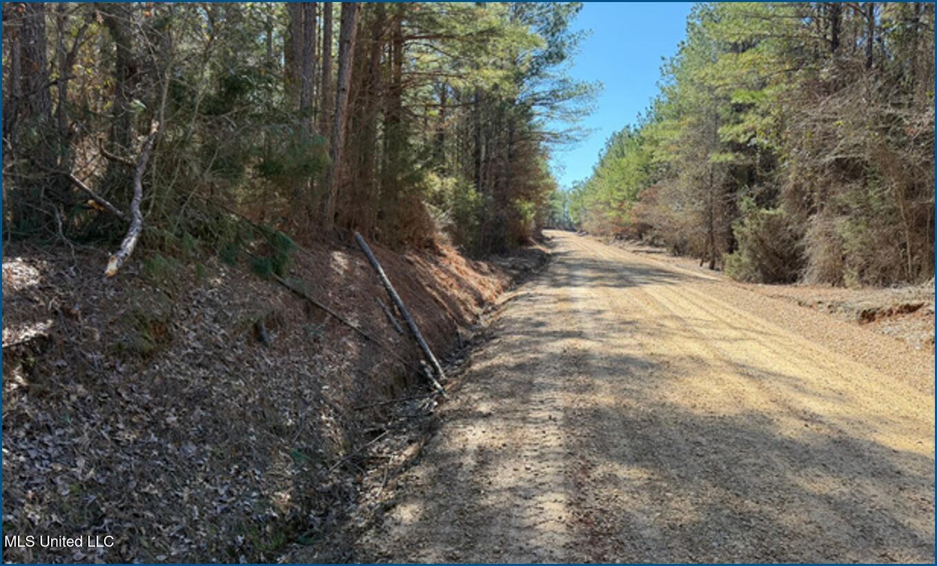 2257 County Road McCool, MS 39108 - Photo 4 of 9 Picture4