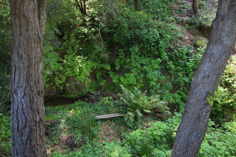 1 Oak Road Santa Cruz, CA 95060 - Photo 9 of 25 a view of outdoor space and garden