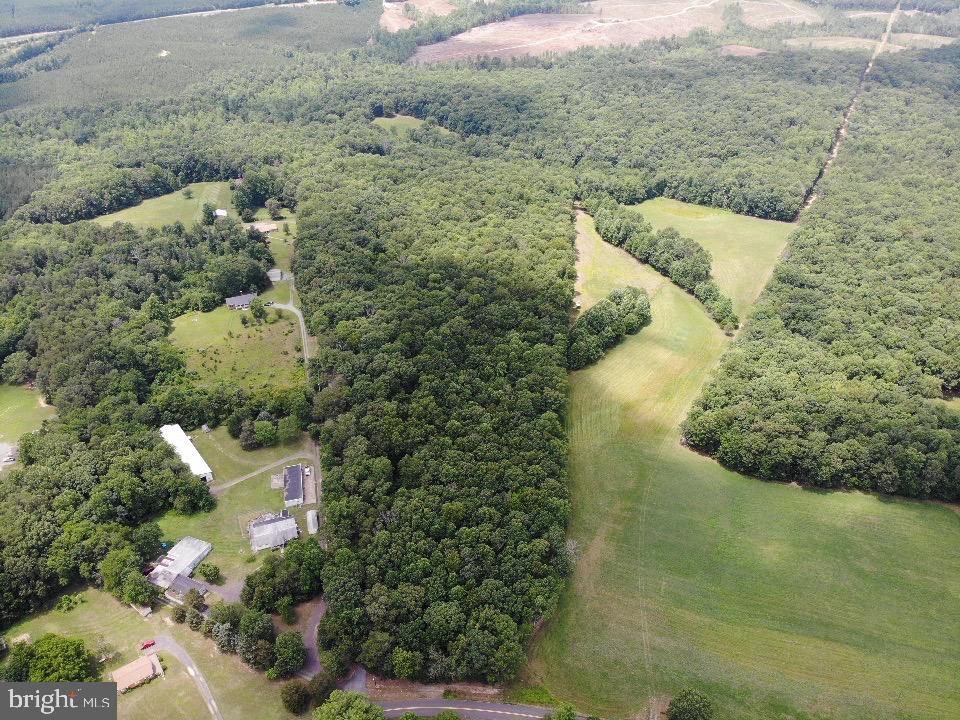 0 Yellow Bottom Road Lignum, VA 22726 - Photo 1 of 12 Gallery Image 1