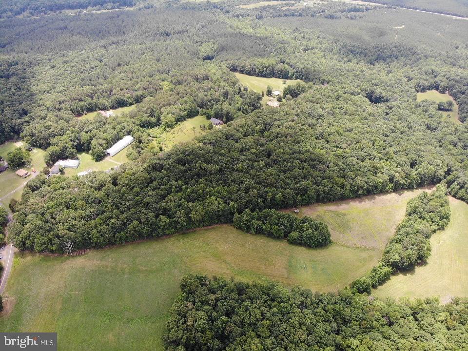 0 Yellow Bottom Road Lignum, VA 22726 - Photo 4 of 12 Gallery Image 4