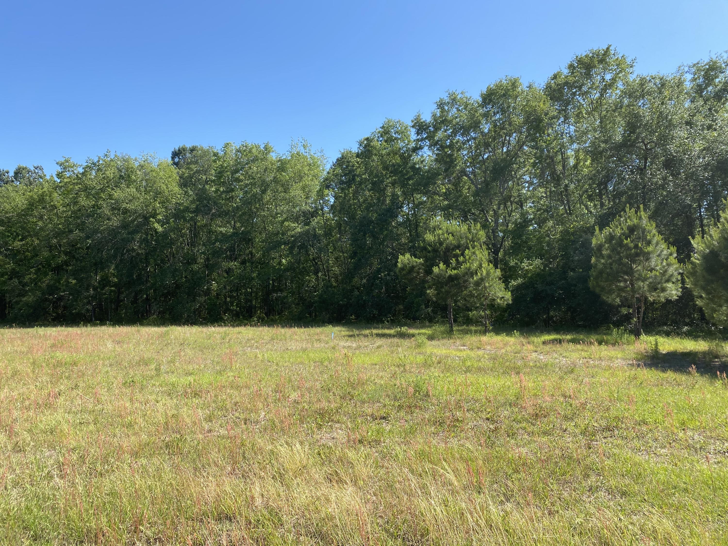 Lot 8 Edward Road Walterboro, SC 29488 - Photo 1 of 11 Front