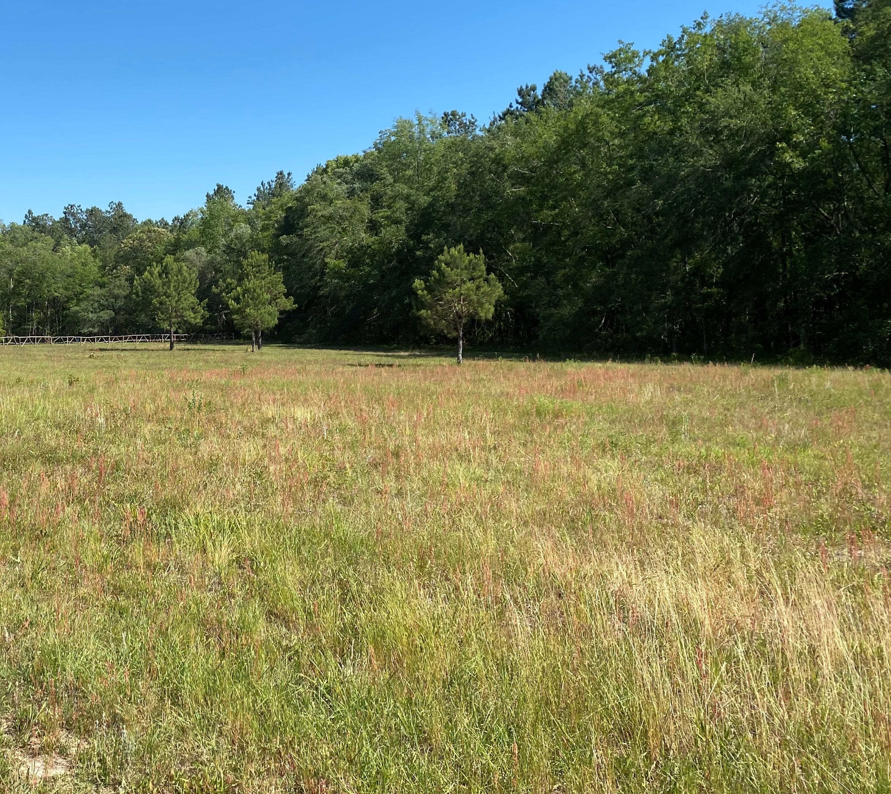 Lot 8 Edward Road Walterboro, SC 29488 - Photo 2 of 11 Photo 1