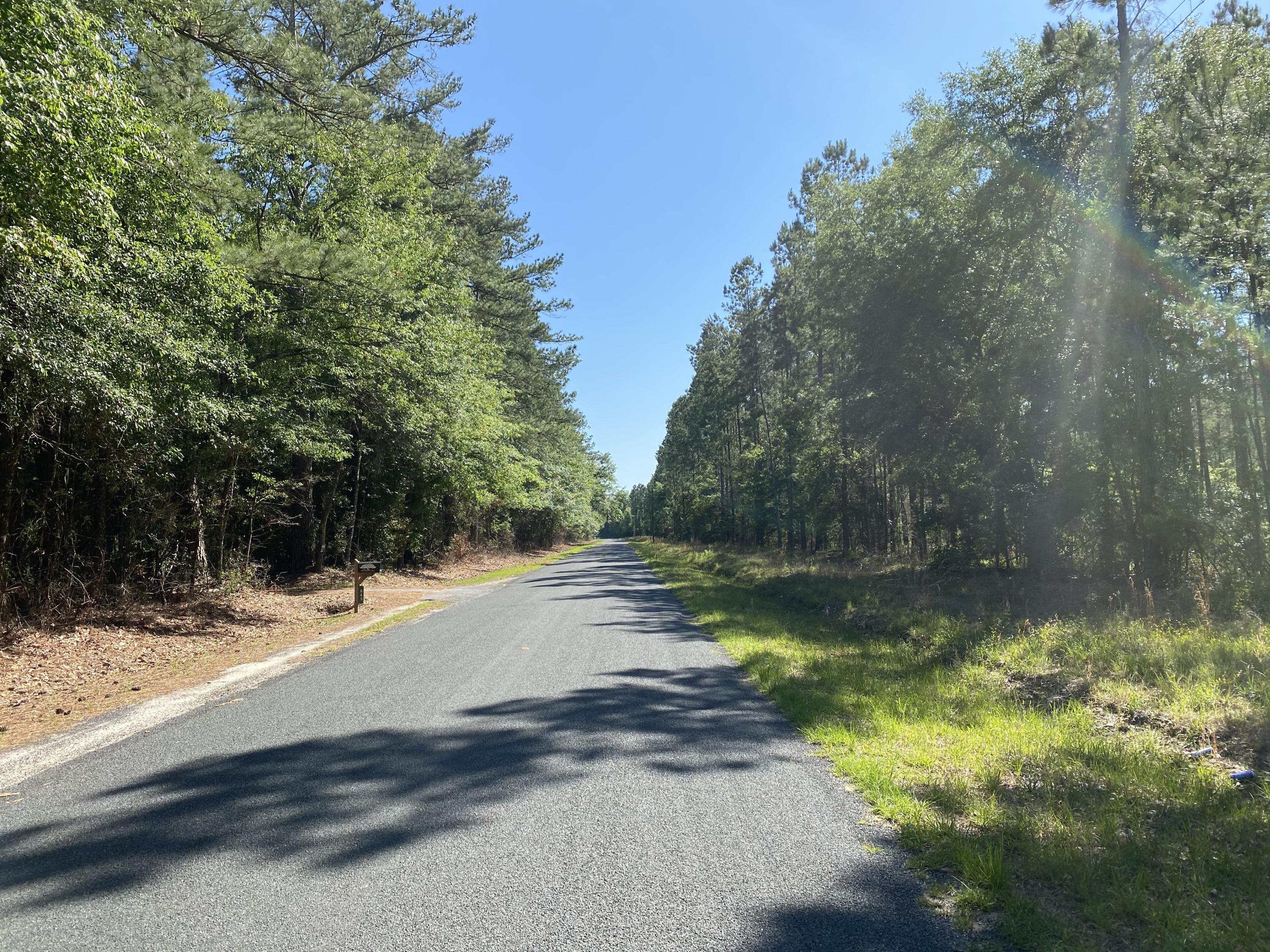 Lot 8 Edward Road Walterboro, SC 29488 - Photo 11 of 11 Photo 8