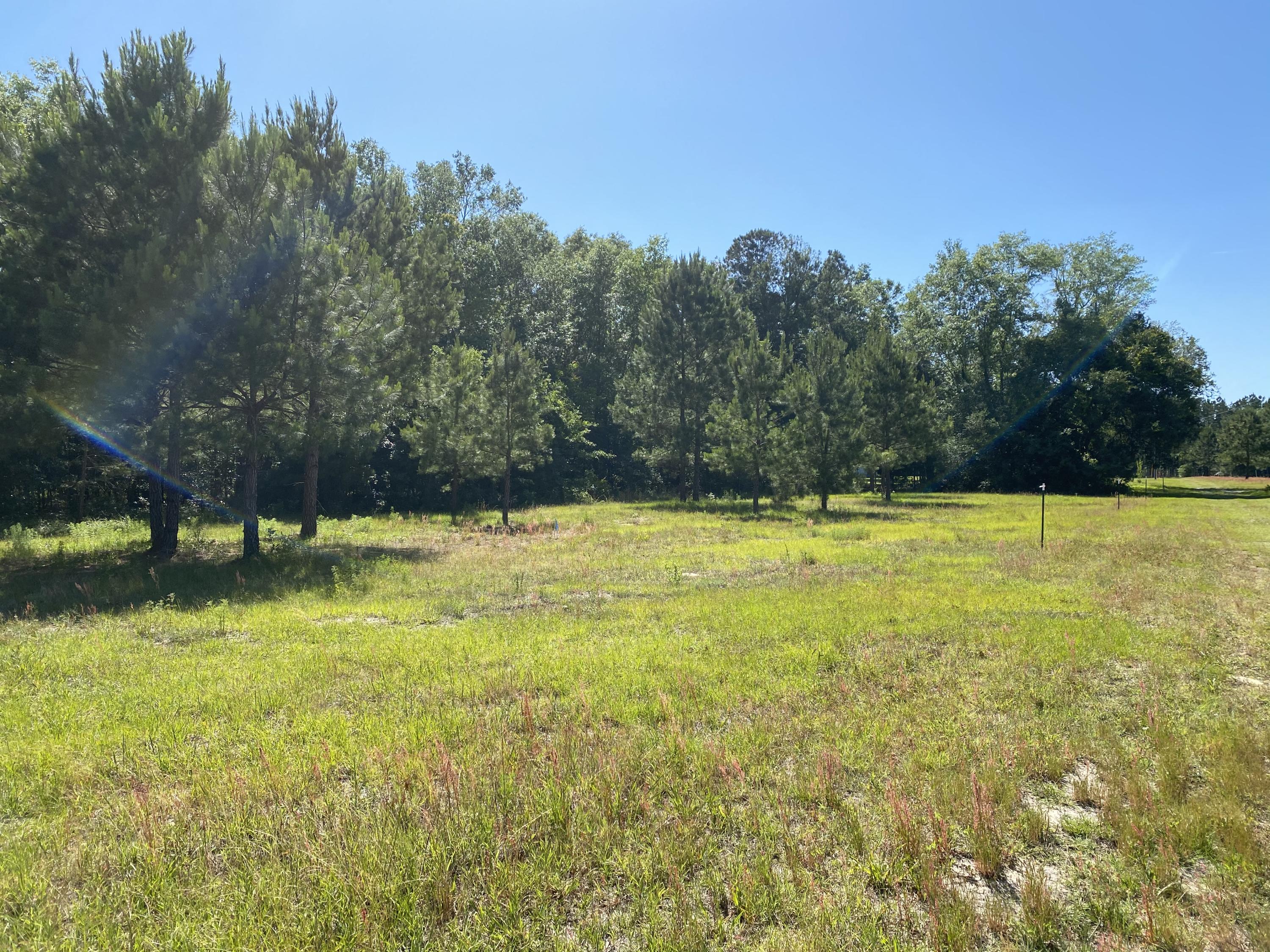Lot 8 Edward Road Walterboro, SC 29488 - Photo 5 of 11 Photo 2