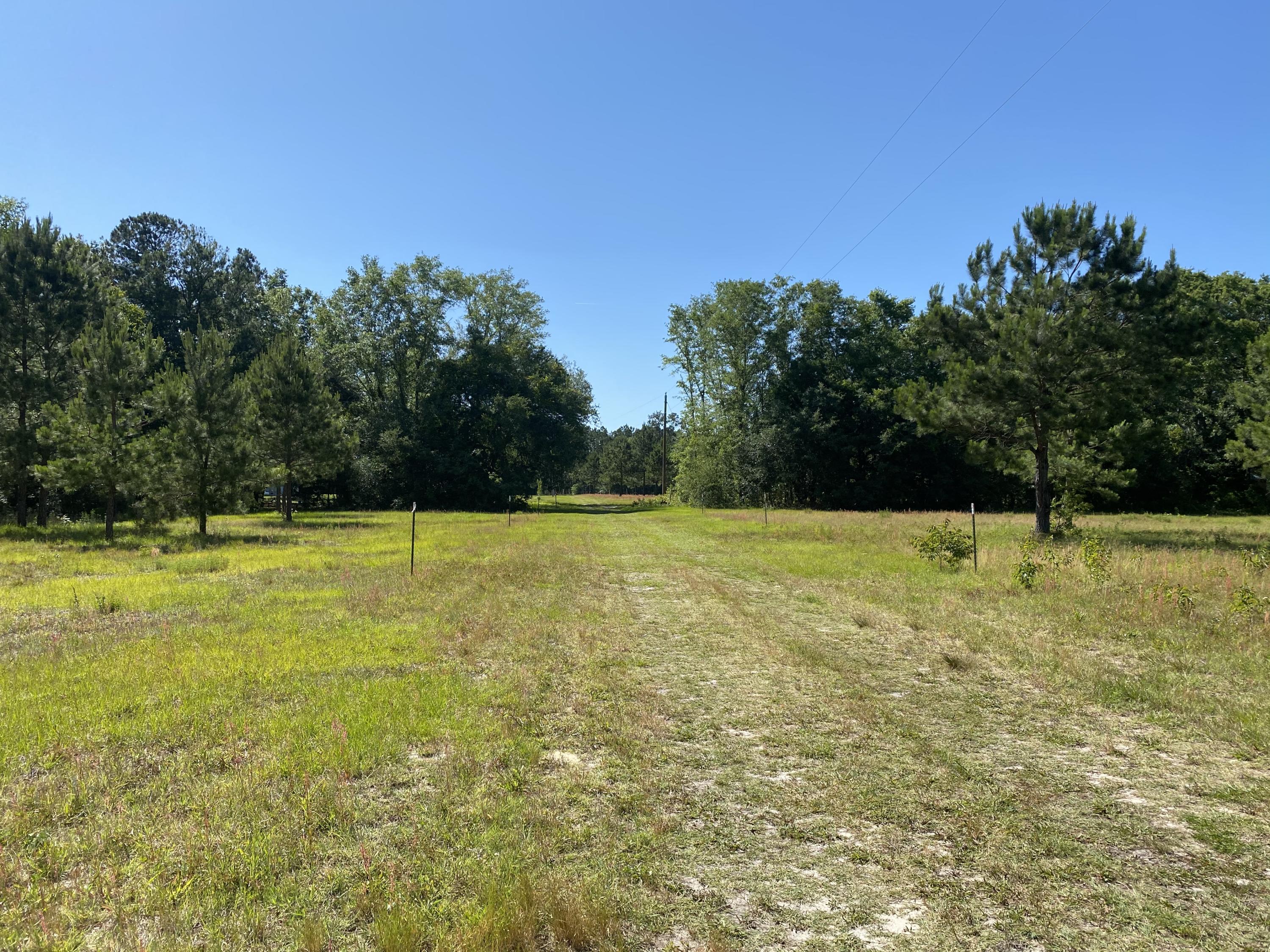 Lot 8 Edward Road Walterboro, SC 29488 - Photo 6 of 11 Photo 3