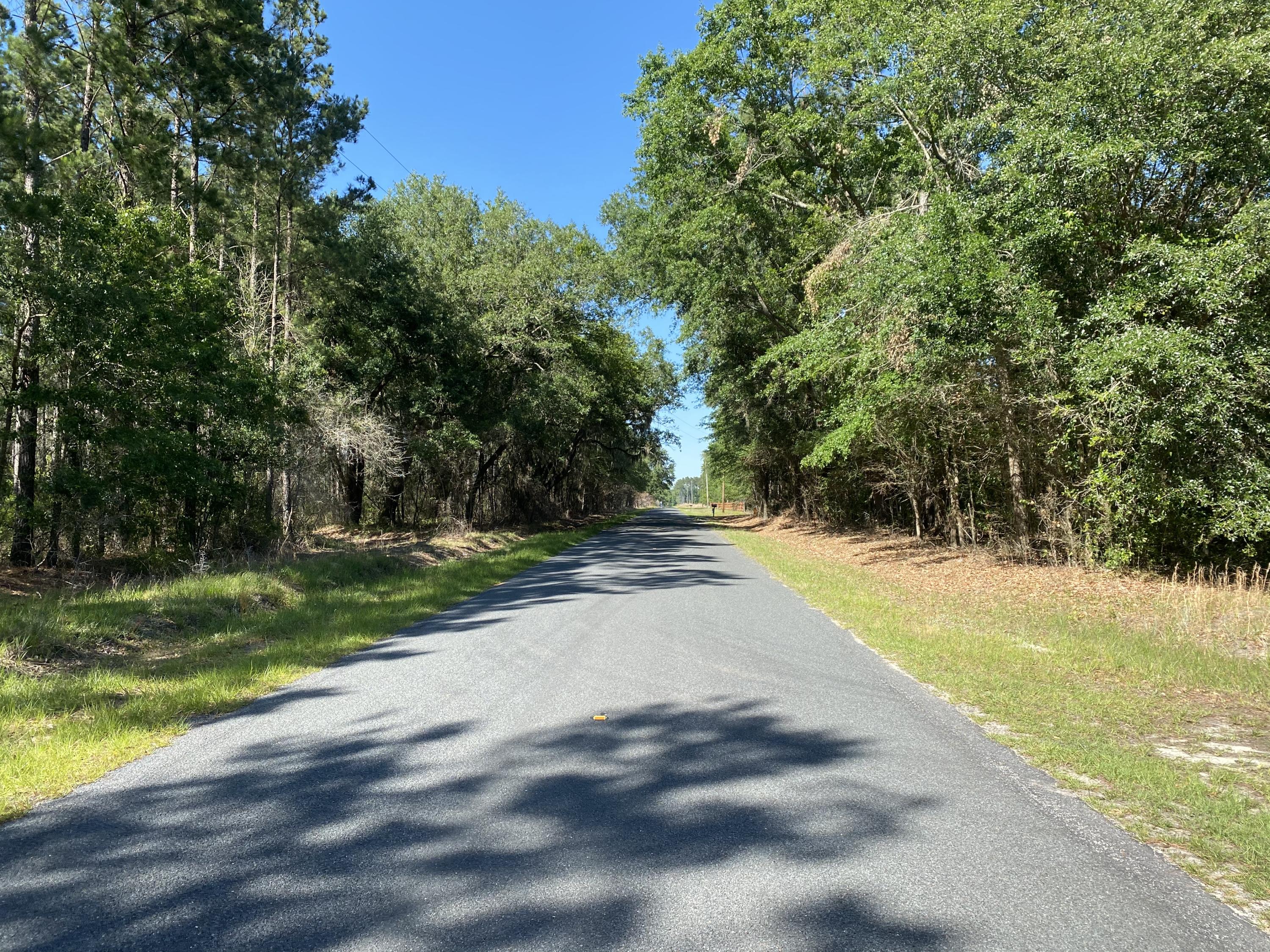 Lot 8 Edward Road Walterboro, SC 29488 - Photo 8 of 11 Photo 5