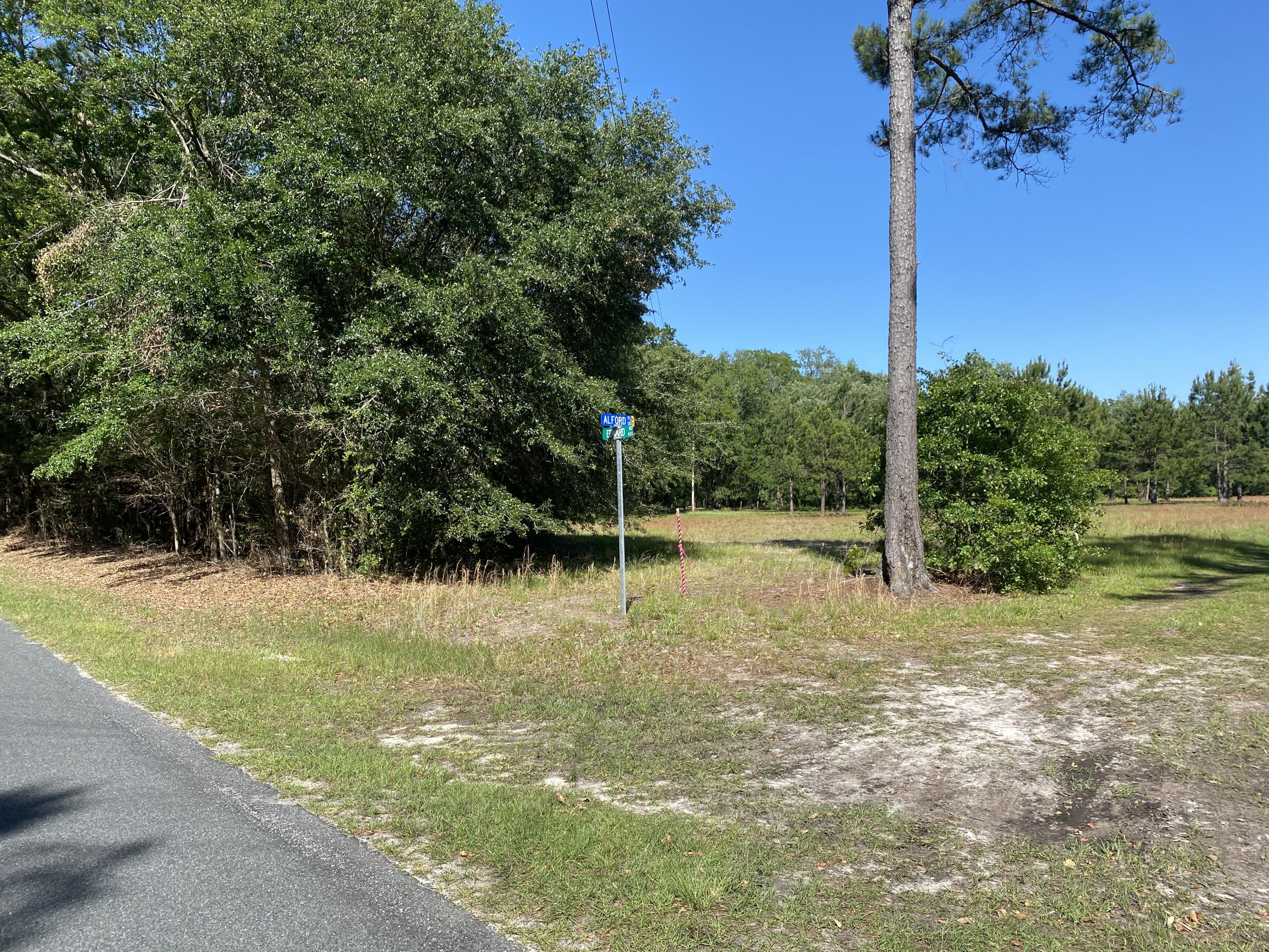 Lot 8 Edward Road Walterboro, SC 29488 - Photo 9 of 11 Photo 6