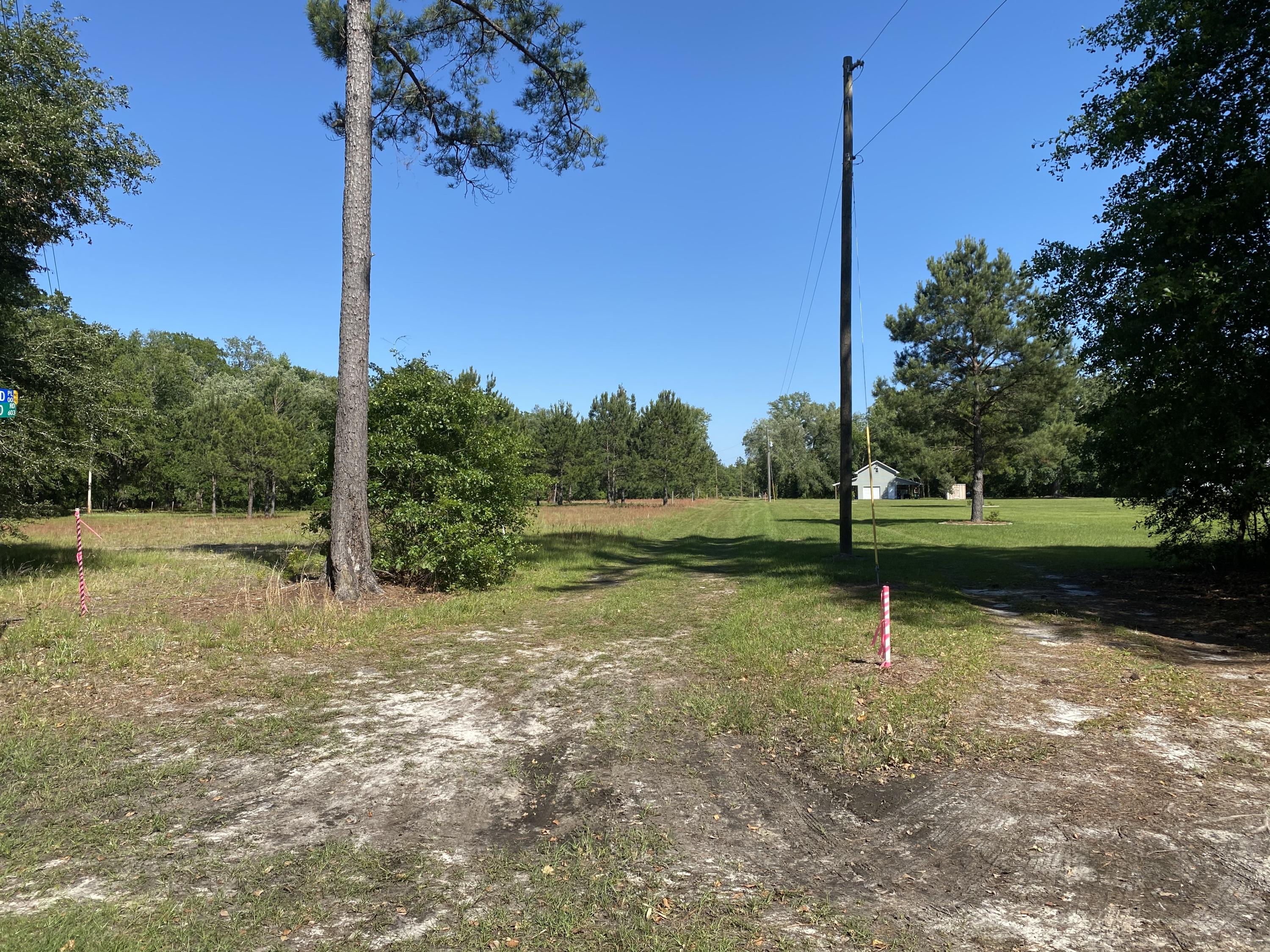 Lot 8 Edward Road Walterboro, SC 29488 - Photo 10 of 11 Photo 7