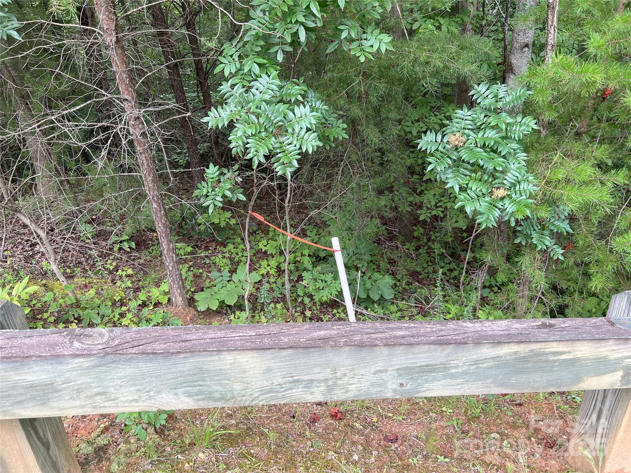 0 Deep Gap Rd Mill Spring East, Unit 97 Mill Spring, NC 28756 - Photo 4 of 22