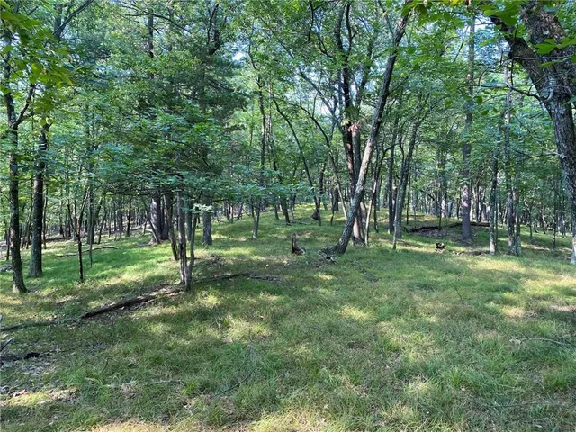 a view of outdoor space with lots of trees