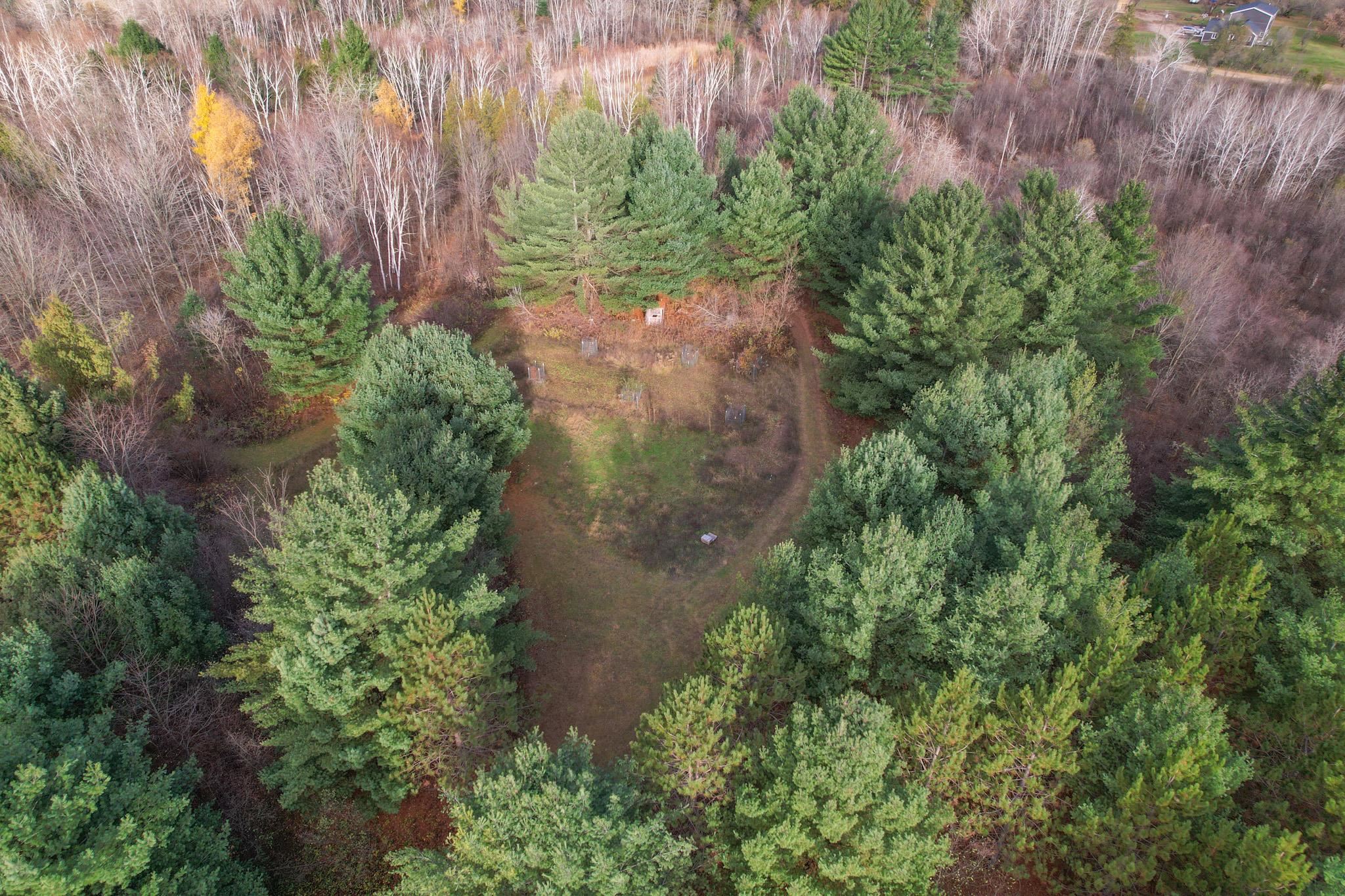 40-acres Hilts Road Gladwin, MI 48624 - Photo 5 of 37