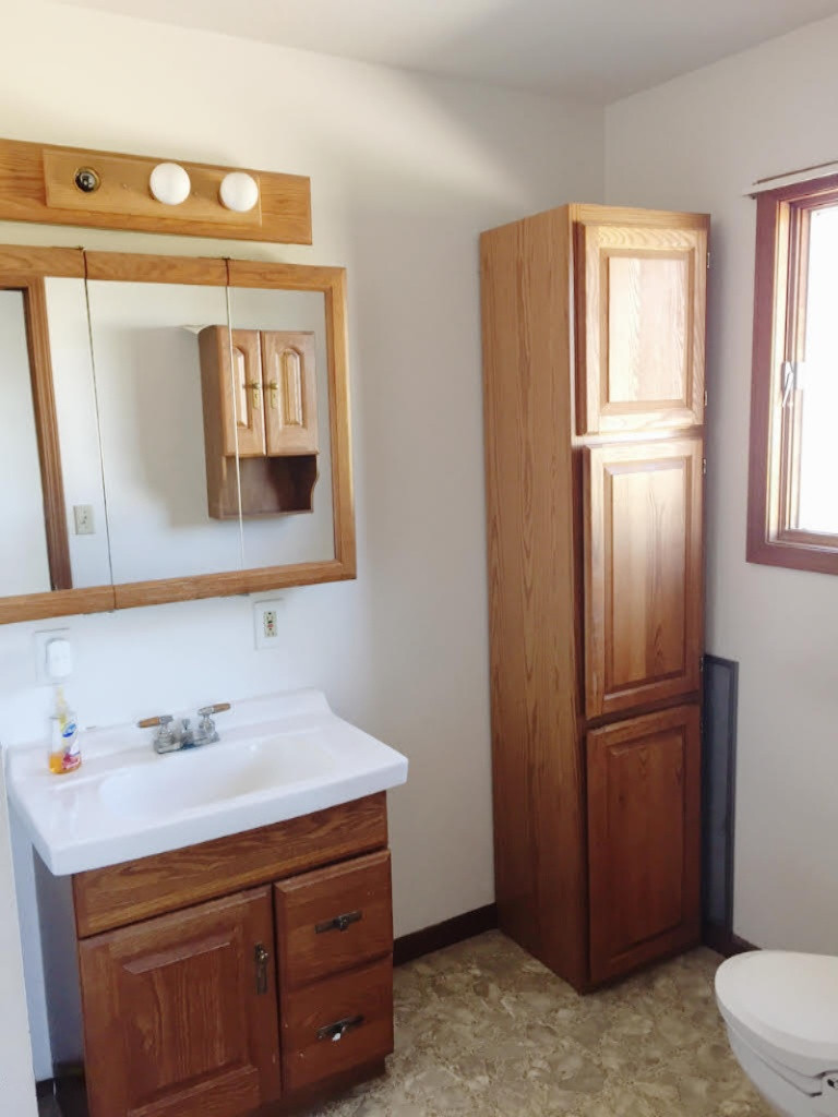 159 West Goodemoot Road Portland, MI 48875 - Photo 10 of 17 6