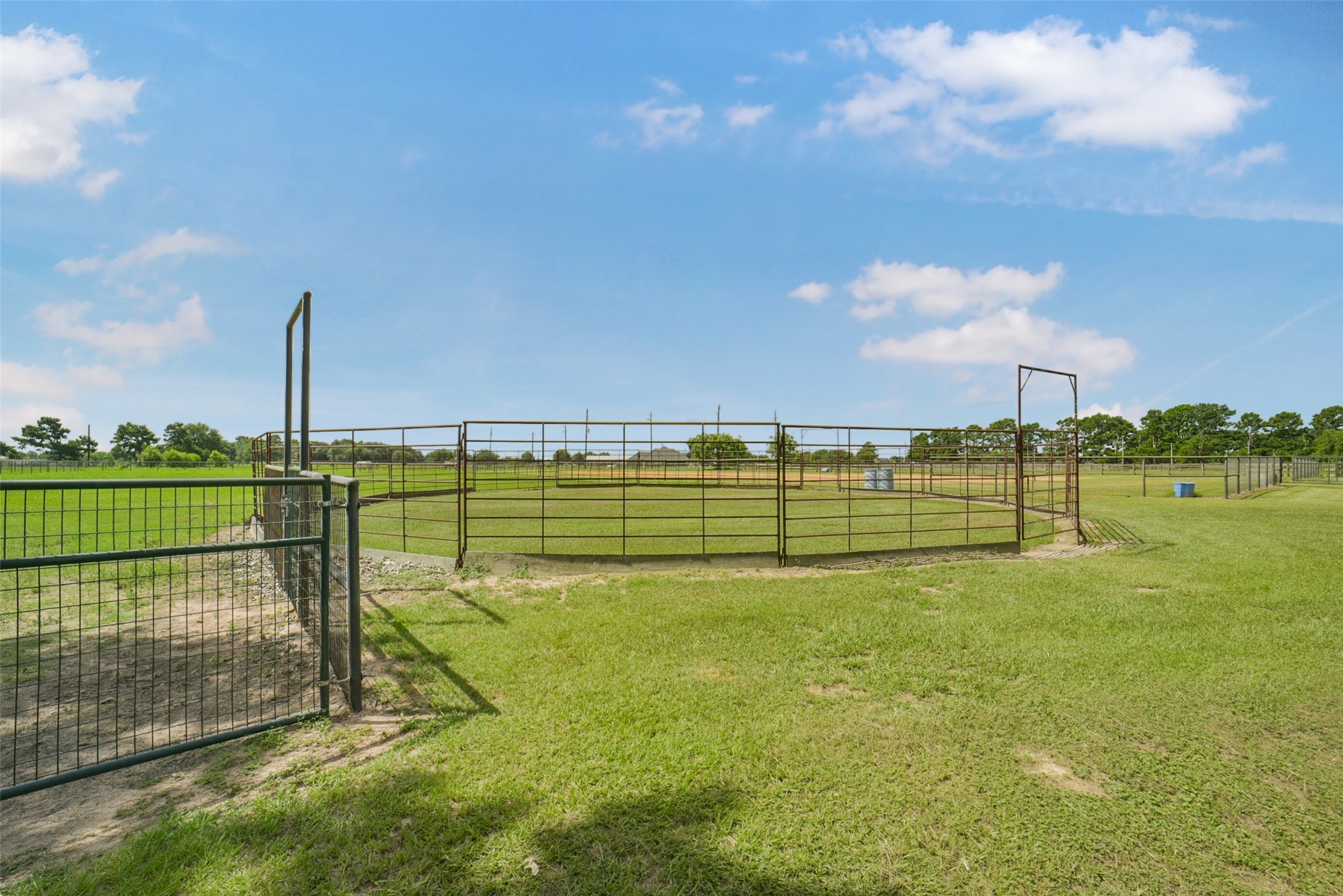 29103 Quail Nest Road Hockley, TX 77447 - Photo 31 of 49 Round pen