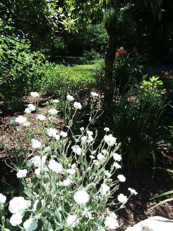 78 Torrey Road Cumberland, RI 02864 - Photo 25 of 28