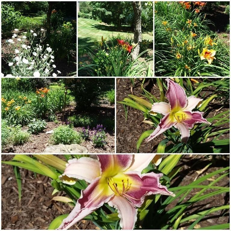 78 Torrey Road Cumberland, RI 02864 - Photo 27 of 28