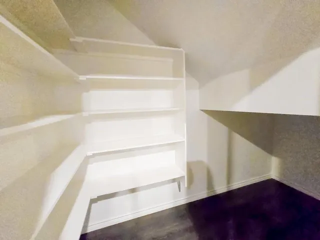 a view of an empty walk in closet