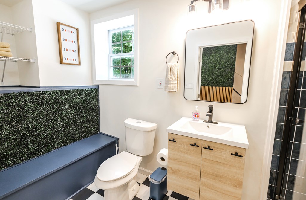 2 Watson Gap Road Mineral Bluff, GA 30559 - Photo 69 of 80 a bathroom with a toilet a sink and mirror