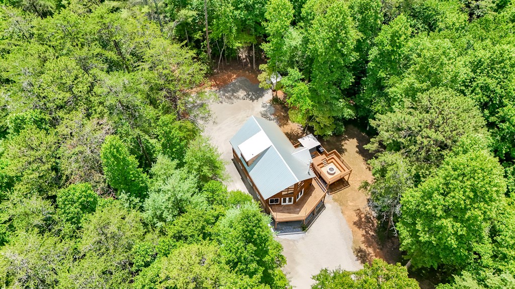 2 Watson Gap Road Mineral Bluff, GA 30559 - Photo 9 of 80 an aerial view of a house with outdoor space and street view