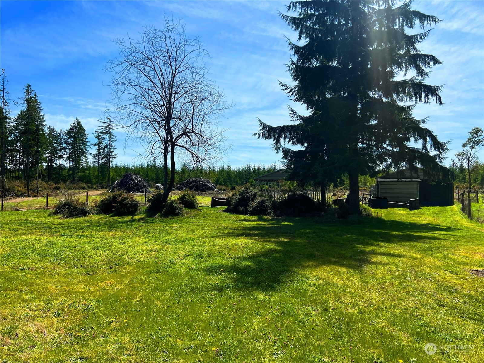 742 East Thornton Road Shelton, WA 98584 - Photo 39 of 39