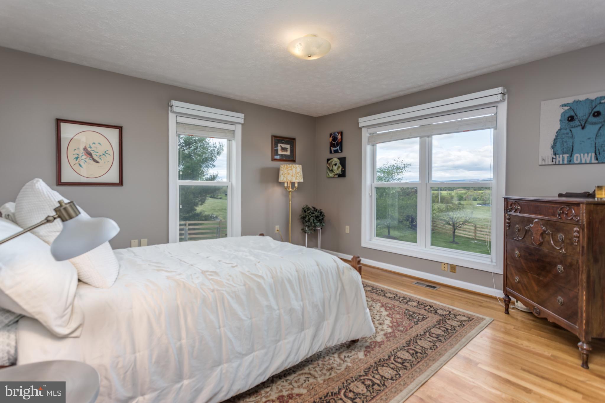 660 Germany Road Stephens City, VA 22655 - Photo 15 of 98 Main Level Bedroom