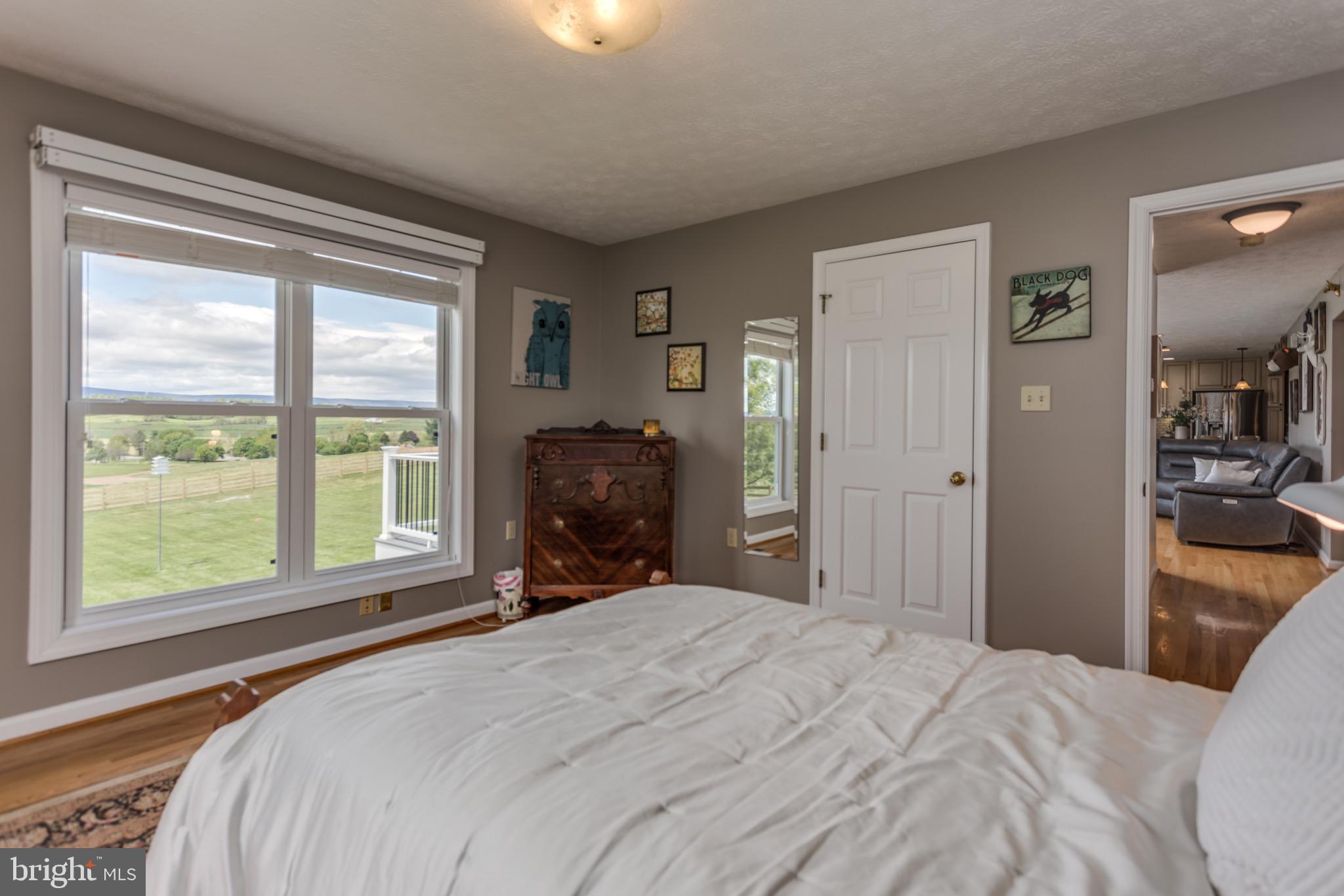 660 Germany Road Stephens City, VA 22655 - Photo 16 of 98 Main Level Bedroom