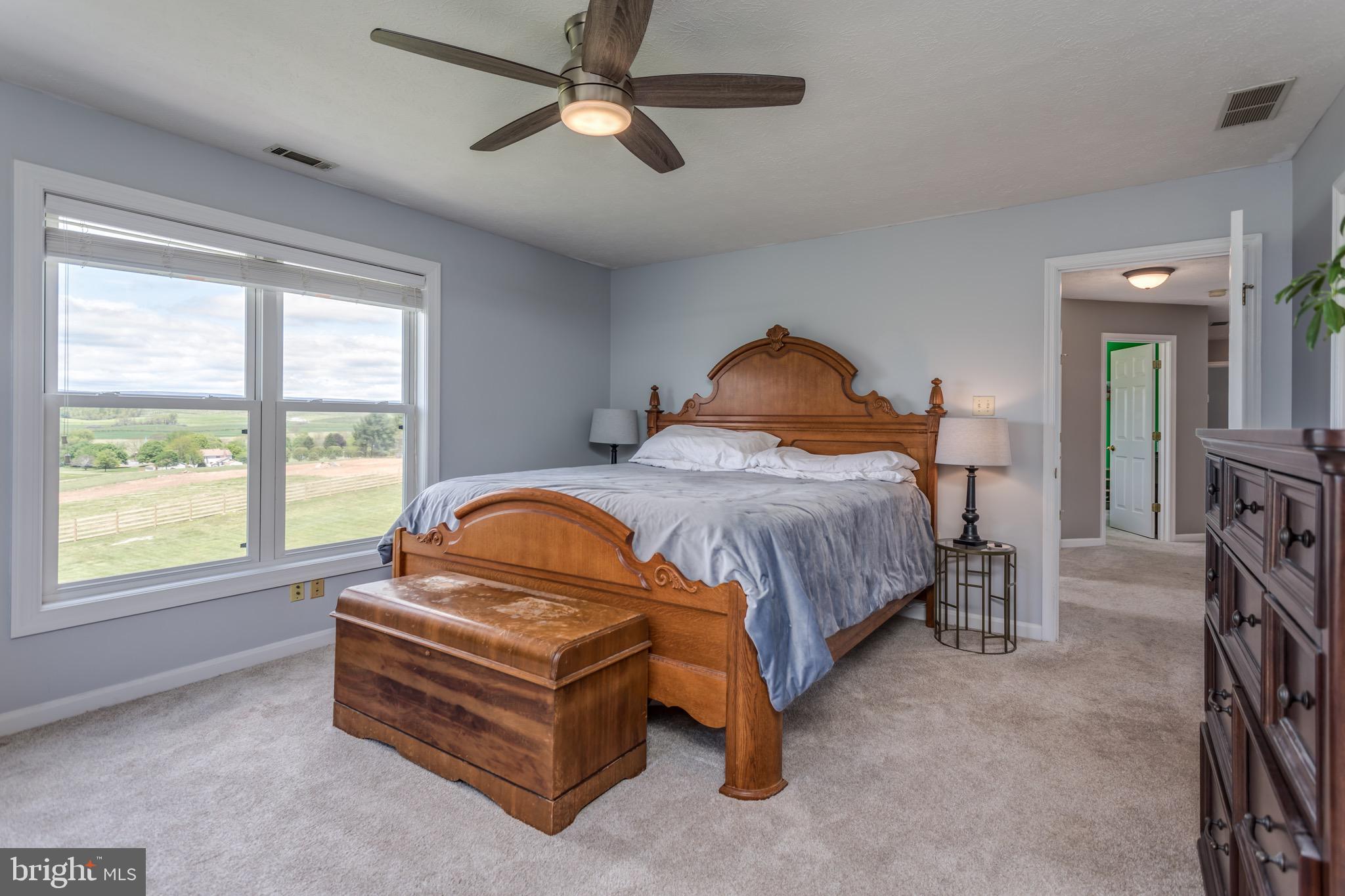 660 Germany Road Stephens City, VA 22655 - Photo 27 of 98 Master Bedroom
