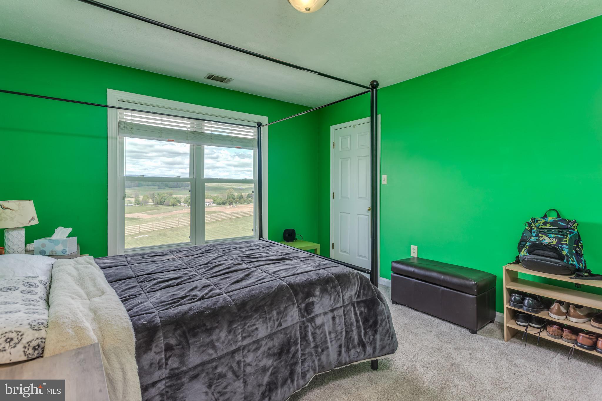 660 Germany Road Stephens City, VA 22655 - Photo 40 of 98 3rd Level Bedroom