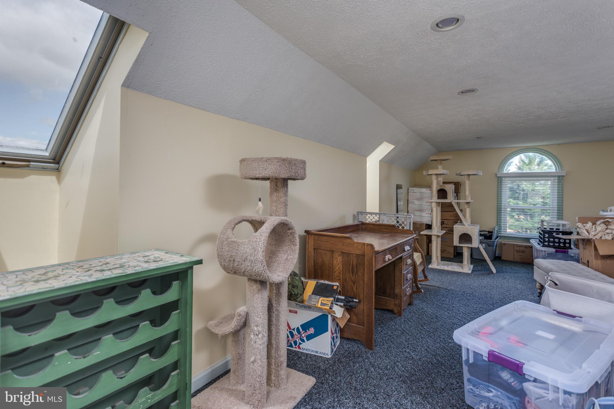 660 Germany Road Stephens City, VA 22655 - Photo 58 of 98 Upper 4th Level Bonus Room