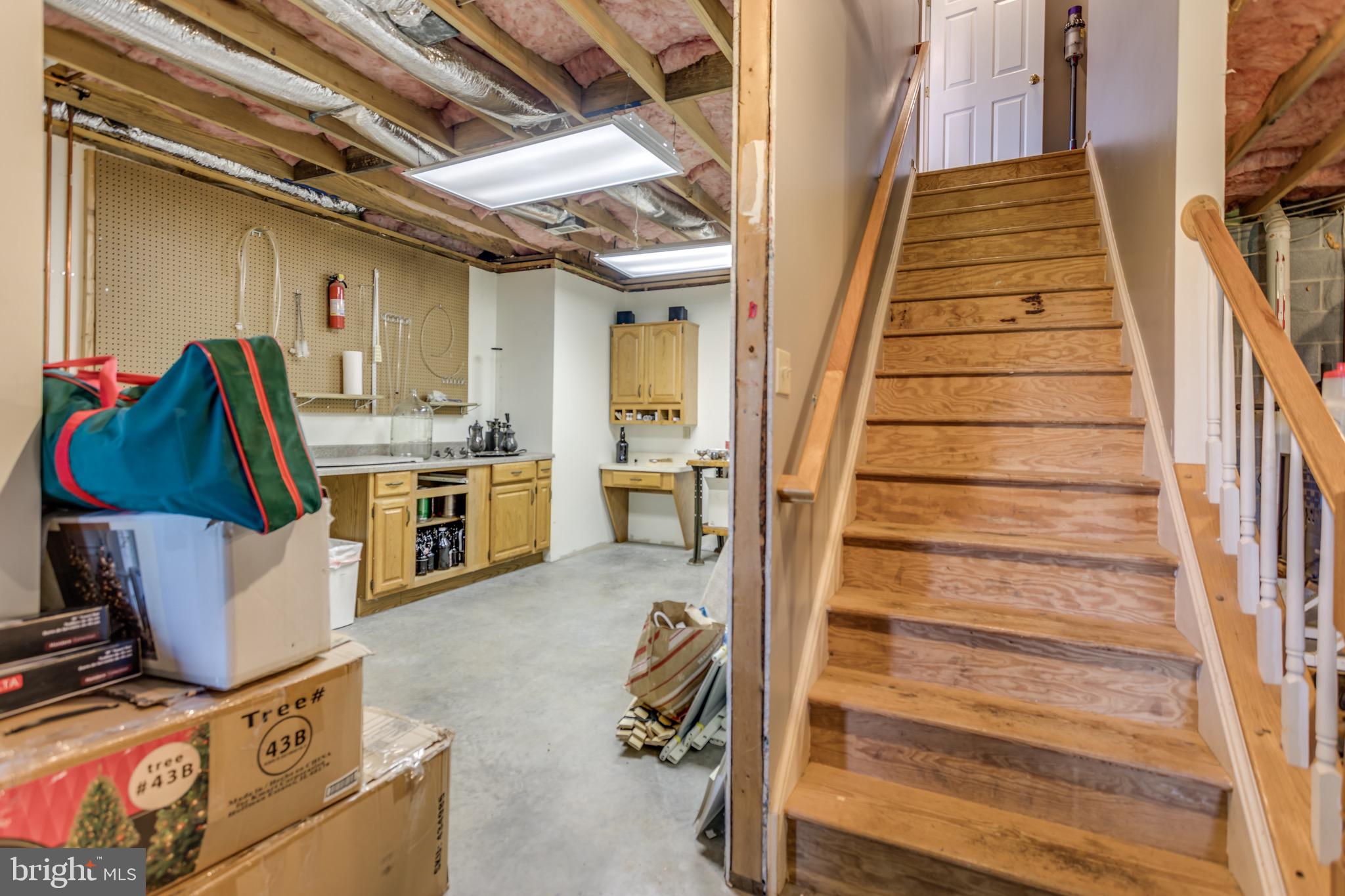 660 Germany Road Stephens City, VA 22655 - Photo 67 of 98 Basement Storage room with 2nd Stairway