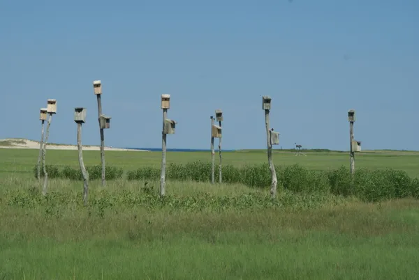 $20,000 | 150 Main Street, Sandwich, MA 02563