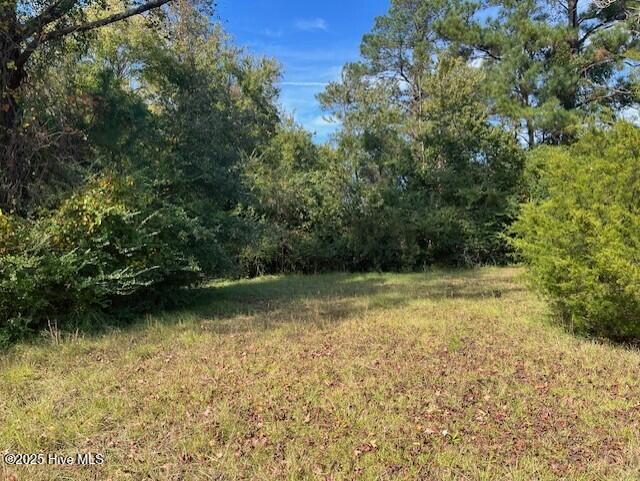 4275 Gum Branch Road Jacksonville, NC 28540 - Photo 11 of 14 thumbnail_IMG_3530